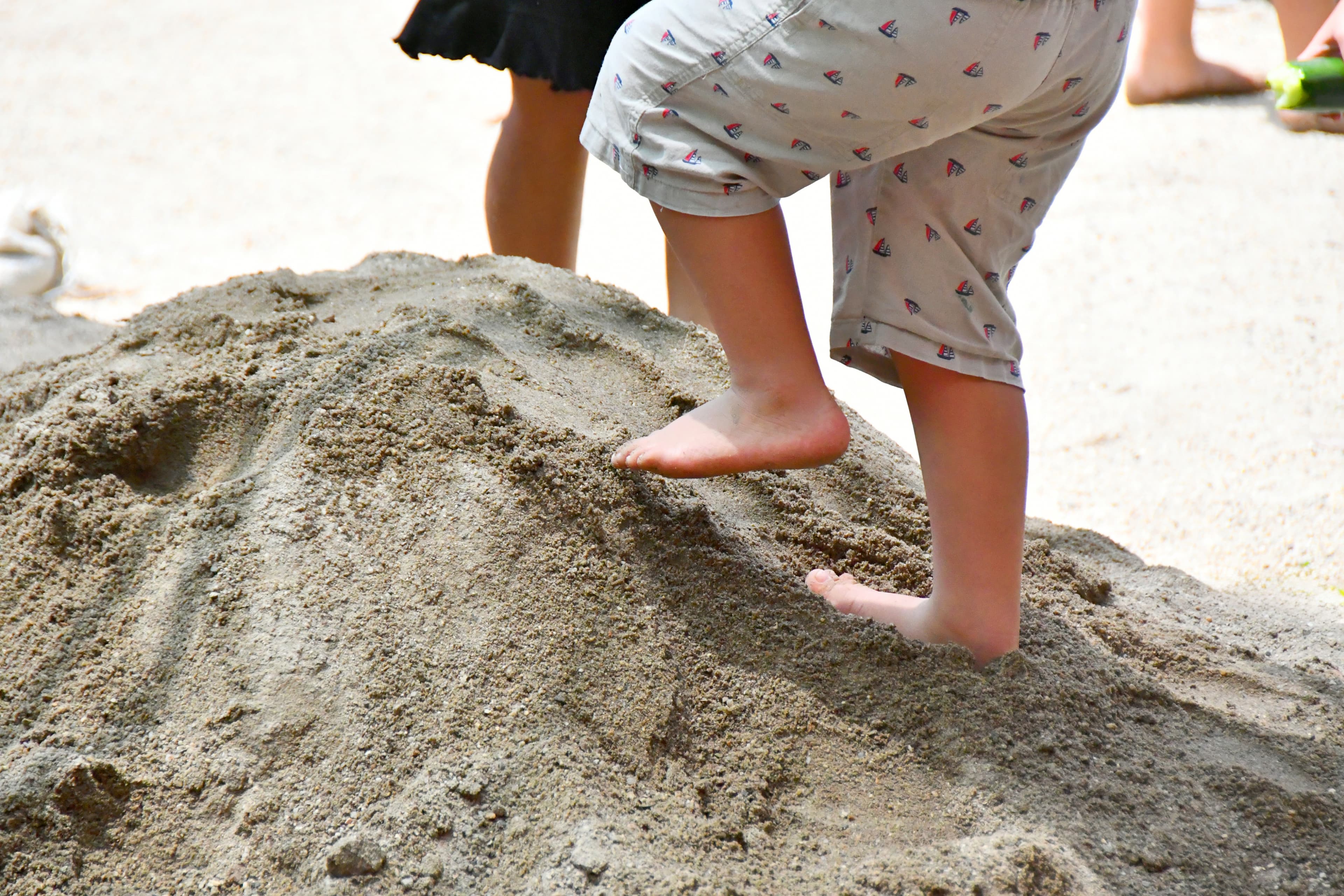 豊かな感性を養う